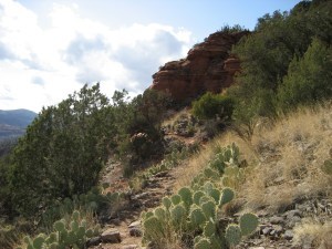 How Bright You Shine