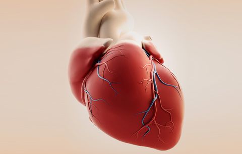 alcohol cancer heart disease