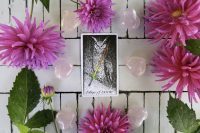 Your Weekly Tarotscope 3rd December 2018 with our psychic Sally