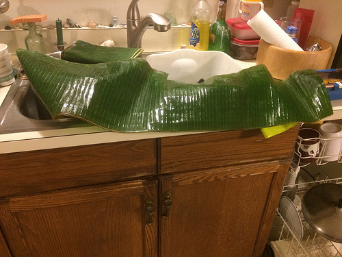 banana leaf is long