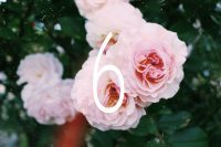 Hack Your Future With Numerology – Born on the 6th of Any Month