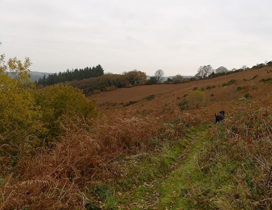 Contemplating winter solstice