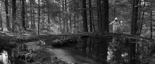 Escena de Roma (2018)