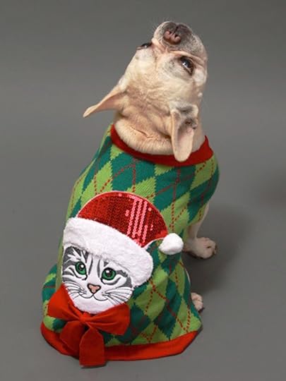 dog in Christmas sweater