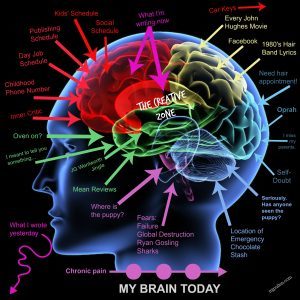 Brain Map