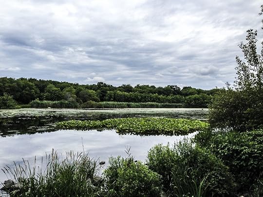 A cloudy day at Massapequa Park Preserve in Massapequa Park, Long Island
