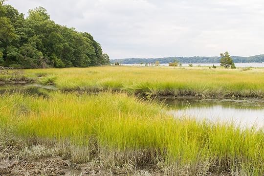 The Eel Creek with Cold Spring Harbor