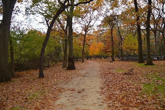 Autumn in the park, beautiful landscape of fall trees in long island park