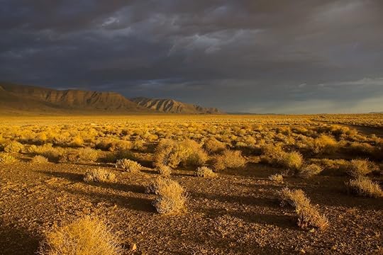 Tankwa Karoo, Western Cape, South Africa