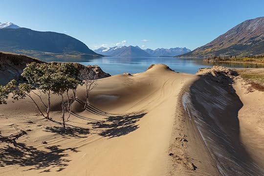 Sand dunes of Carcross desert in Canada