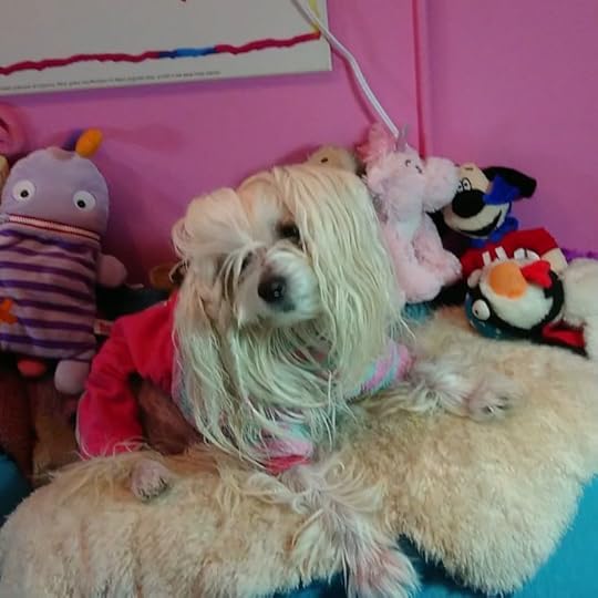 It’s Petal’s birthday today!<br /><br />She turns eight. I am so grateful for this sweet, gentle, loving little girl who gives me unconditional love and is my family. She is like a child to me.<br />.<br />.<br />.<br />#petalrainfield #chinesecrested #hairyhairless #dogstagram #ilovemydog #ilovemychinesecresteddog #dogmom<br />#cherylrainfield #YAwriter #LGBTQwriter #booknerd #bookworm #ireadYA #survivor #feminist