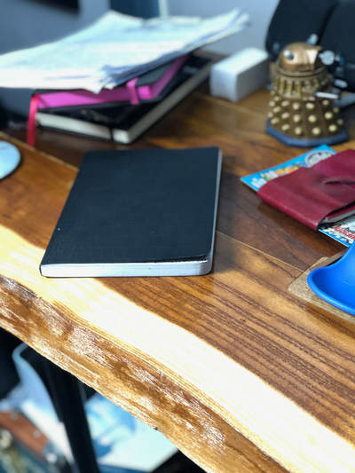 NaPoWriMo Poetry, Chapbook, Contest Finalist, Local Gems Press, poems, R.J. Huneke, American Political Asylum