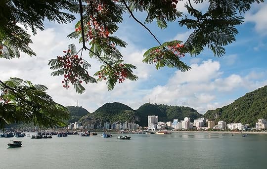 The city, the Bay Cat ba, Hai Phong City, Vietnam