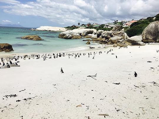 Boulders Beach