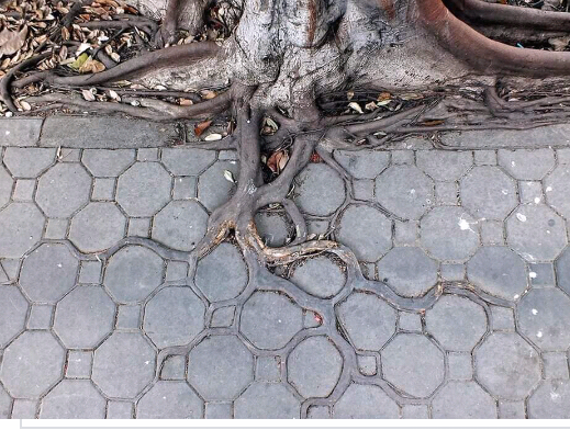 Screenshot-2018-09-21-18-46-48-1-1