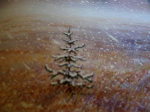 Jul blogs snow_3272