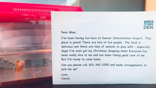 fish looked after by flight attendants at Denver Airport