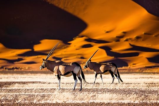 Oryx and dunes, Sossusvlei, Namibia
