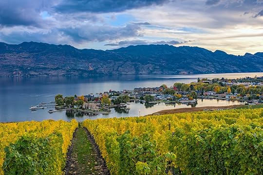 Vineyard overlooking a subdivision in Okanagan, Canada