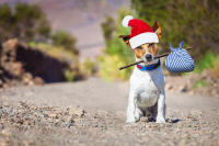If You’re Lonely This Christmas – My Heartfelt Message to You