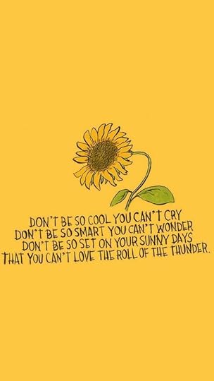 yellow, quotes, and sunflower image