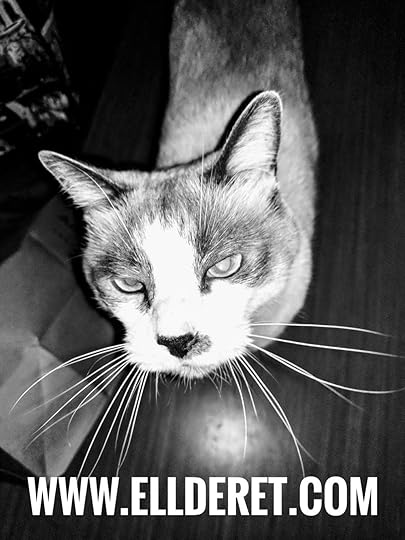 The Assistant greets the new year