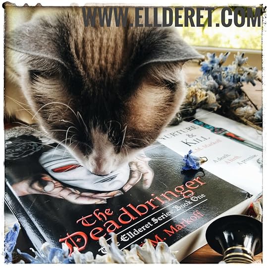 The Assistant inspects 