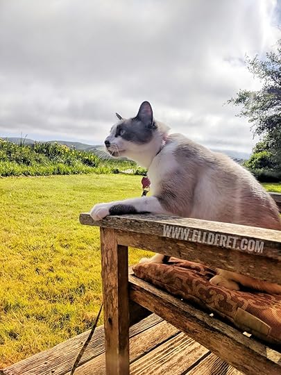 The Assistant ponders 