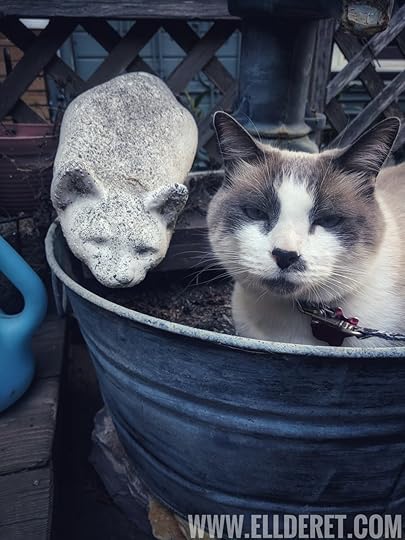 The Assistant makes a friend