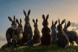 Watership Down 2018