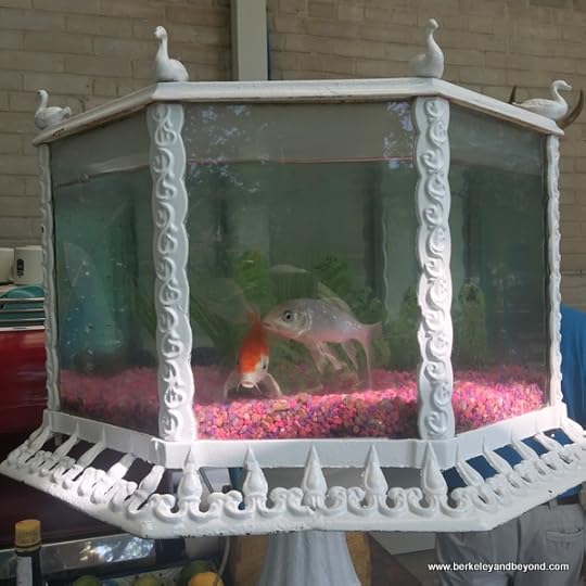 ornate Victorian goldfish bowl on the bar at Ocho restaurant at Hotel Havana in San Antonio, Texas