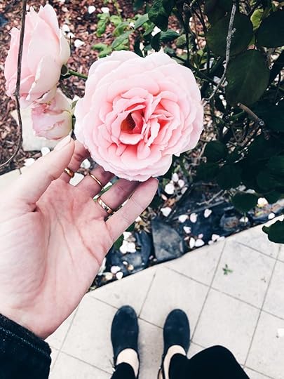 Let It Be Sunday, 203!