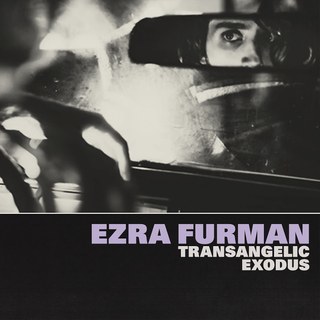 Image result for ezra furman - transangelic exodus