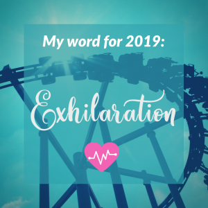 Rollercoaster silhouetted in the background with the text