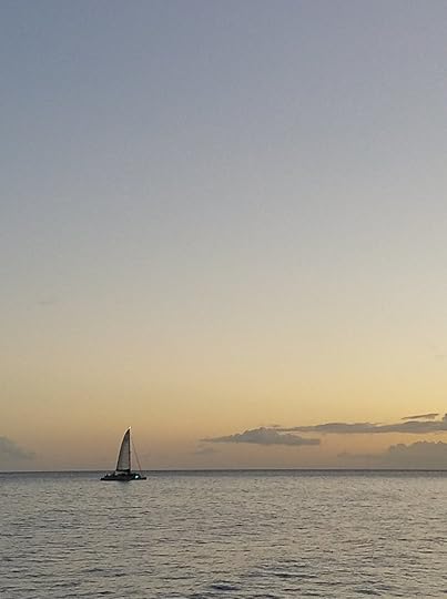 resolving to enjoy.jpg