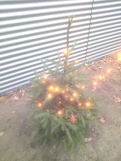 Haiku: kerstboom