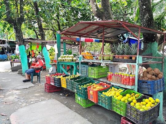 Man sitting in front of his stands with tropical fruit at traditional farmers market in Puerto Viejo, Costa Rica