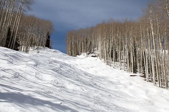 Bumpy ski run surrounded by bare aspen trees at Purgatory ski area in Durango, Colorado