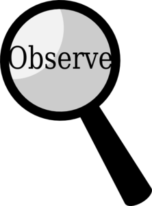 3-pic