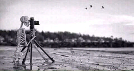 Screenshot-2018-10-16-23-16-26-1