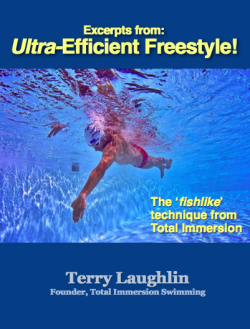 Effortless Endurance excerpts image