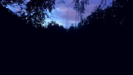 Google Photo