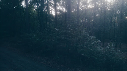 Google Photo