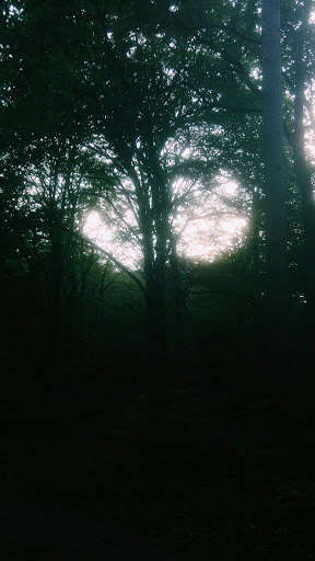 Google Photo
