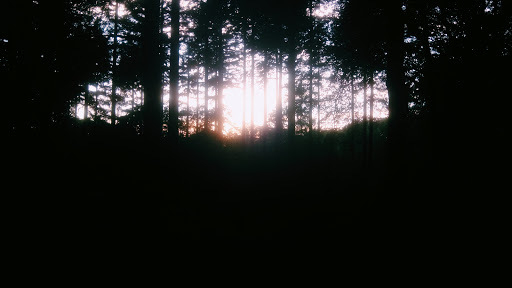 Google Photo
