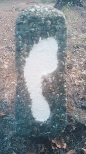 Google Photo