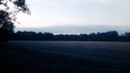 Google Photo