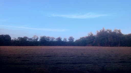 Google Photo