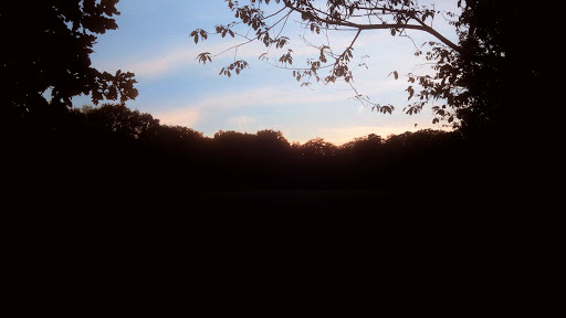 Google Photo