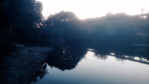 Google Photo